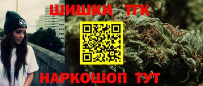 СК Канаш