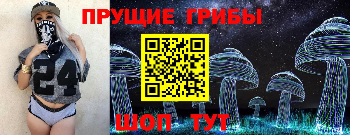 Алапаевск  Галлюциногенные грибы Psilocybine cubensis  Вход с VPN 